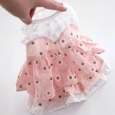 Cute Clothes For Small Breeds