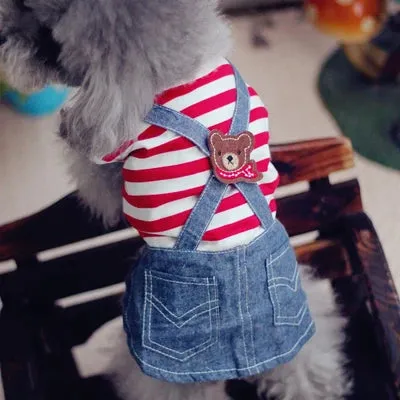 Cute Clothes For Small Breeds